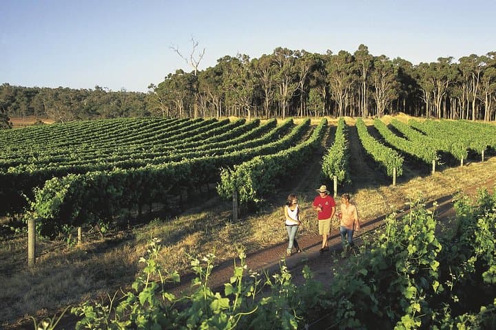 Full-Day Margaret River: Caves, Wine & Cape Leeuwin Lighthouse Tour from Perth