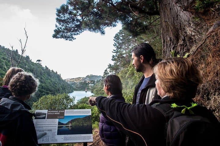 Zealandia Twilight Guided Eco Wildlife Tour — Night Walk in Wellington’s Urban Sanctuary photo 3