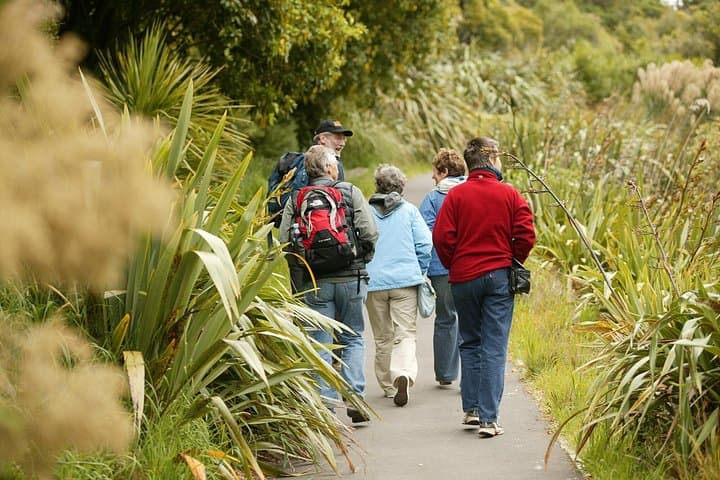 Zealandia 2-Hour Eco Wildlife Tour — Wellington’s Mainland Sanctuary Experience photo 4