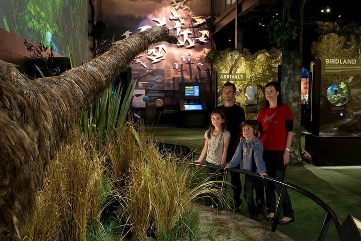 Zealandia 2-Hour Eco Wildlife Tour — Wellington’s Mainland Sanctuary Experience photo 2