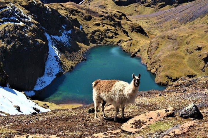 Ultimate Lares Trek and Inca Trail: 5-Day Machu Picchu Adventure photo 3