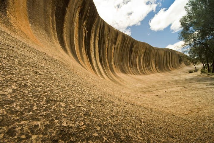Wave Rock Day Trip from Perth: York, Wildflowers & Aboriginal Culture photo 3