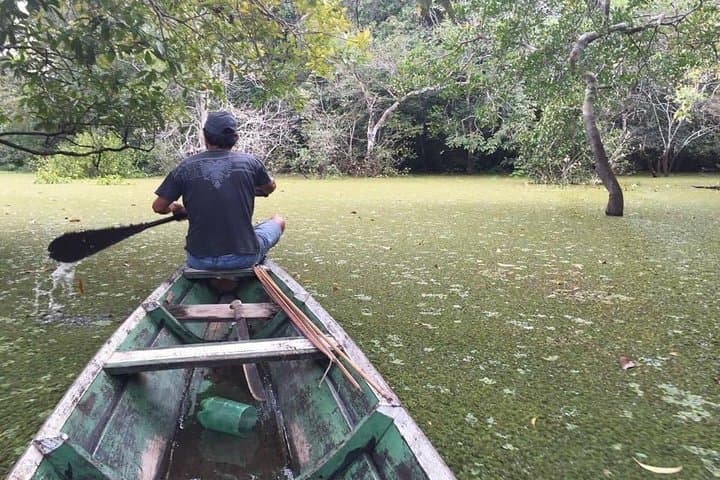 Amazon Survival Tour: 6-Day Jungle Camping, Canoeing & Bushcraft from Manaus photo 2