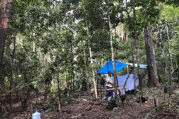 Amazon Survival Tour: 6-Day Jungle Camping, Canoeing & Bushcraft from Manaus photo 5