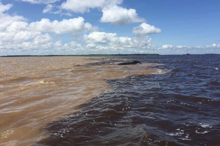 Into the Amazon Jungle: 5-Day Tapiri Floating Lodge Expedition from Manaus photo 4
