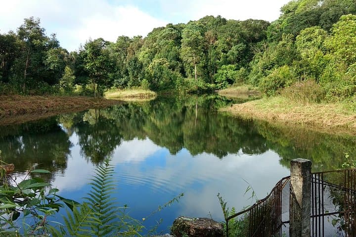 Meghalaya Walking Holiday: Root Bridges, Dawki River & Nohkalikai Hike photo 3