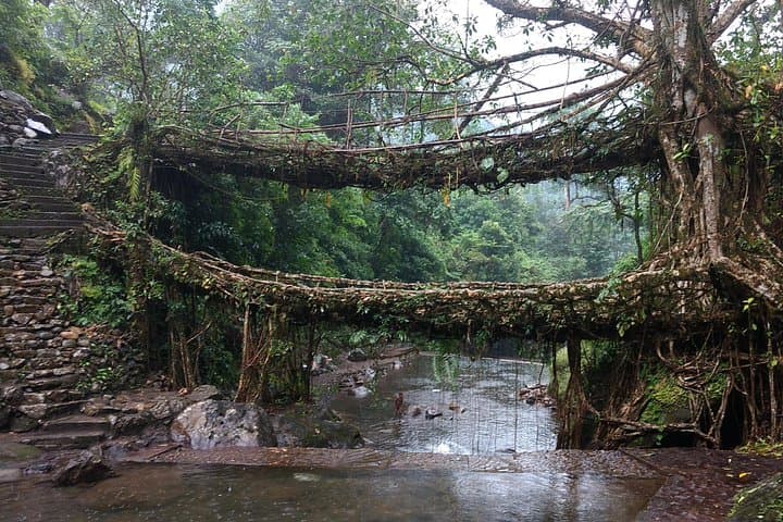 Meghalaya Walking Holiday: Root Bridges, Dawki River & Nohkalikai Hike photo 4