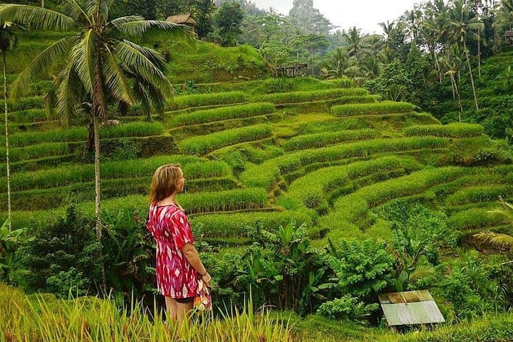 Design Your Own Full-Day Bali Private Tour — Ubud Temples & Rice Terraces photo 2