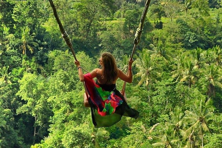Design Your Own Full-Day Bali Private Tour — Ubud Temples & Rice Terraces photo 4