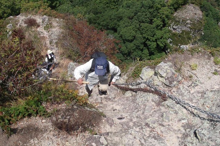 Tenchu-seki Granite Obelisk Trek on Yakushima — Full-Day Ancient Cedar Forest Ascent photo 4