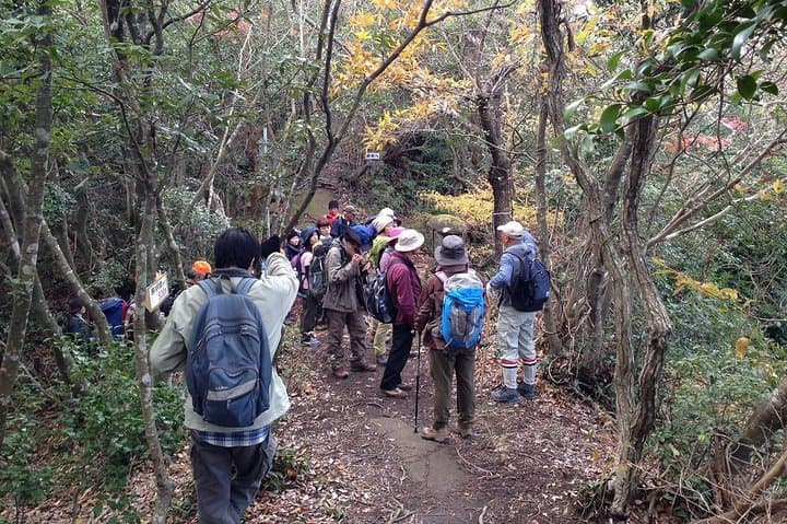 Tenchu-seki Granite Obelisk Trek on Yakushima — Full-Day Ancient Cedar Forest Ascent photo 3