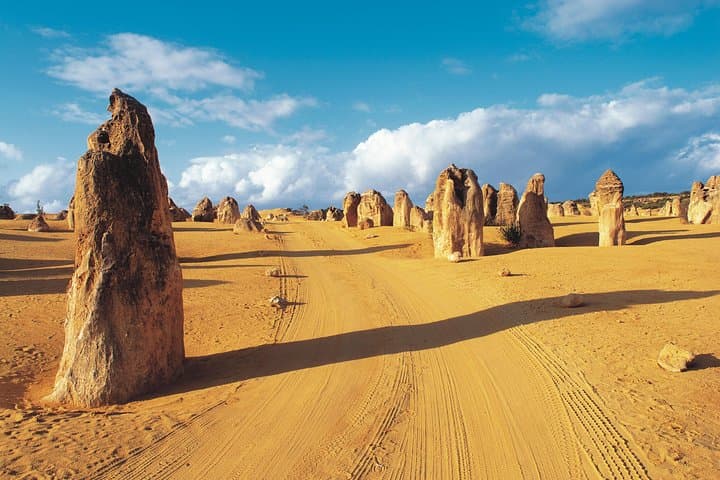 Pinnacles Desert, Koalas & Lancelin Sandboarding: Full-Day 4WD Tour from Perth
