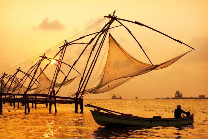 Golden Triangle to Kerala: 13-Day India Cultural & Wildlife Tour photo 6