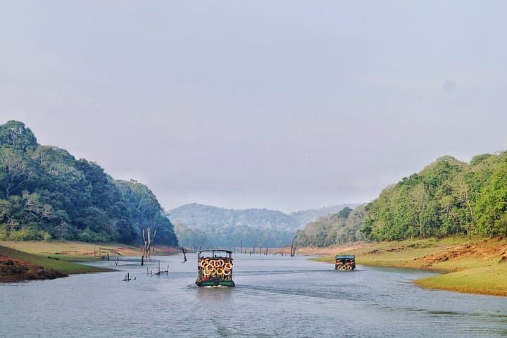 Best of Kerala: 8-Day Backwaters, Hills & Wildlife photo 6