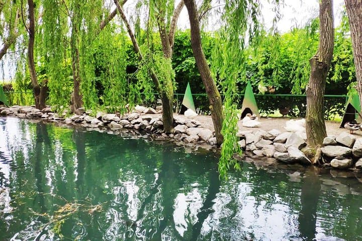 2-Day Sheki & Qax Tour with Wooden Cottage Stay — Sheki Khan's Palace, Kish & Mamirli Waterfall