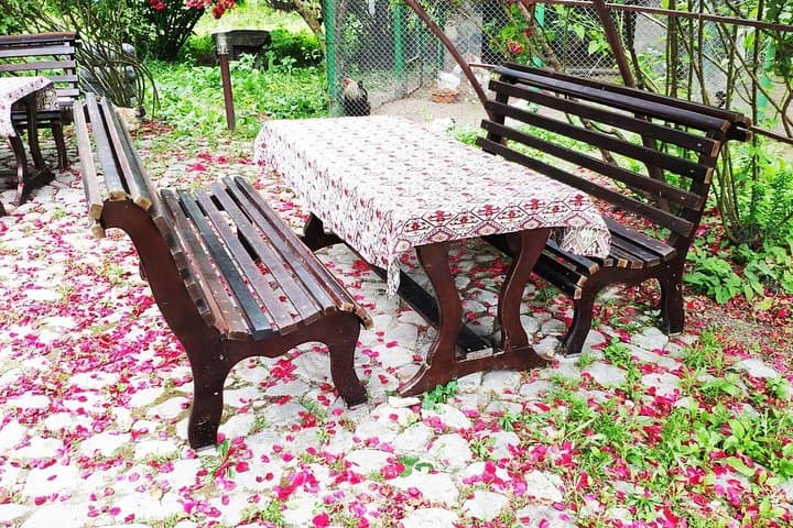 2-Day Sheki & Qax Tour with Wooden Cottage Stay — Sheki Khan's Palace, Kish & Mamirli Waterfall photo 3