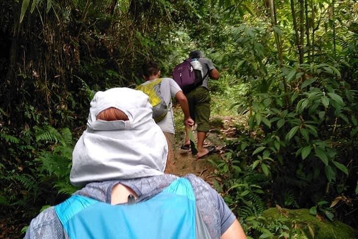 One-Day Trekking in Ha Giang: Rice Terraces, Ethnic Villages & Mountain Trails photo 2