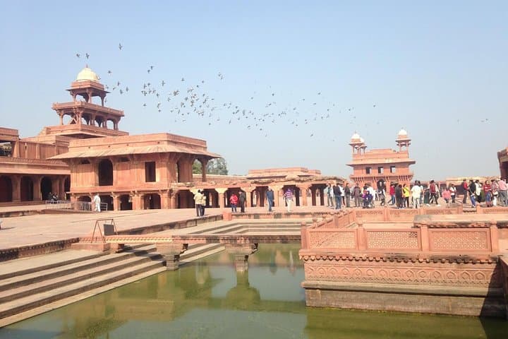Golden Triangle to Kerala: 13-Day India Cultural & Wildlife Tour photo 4