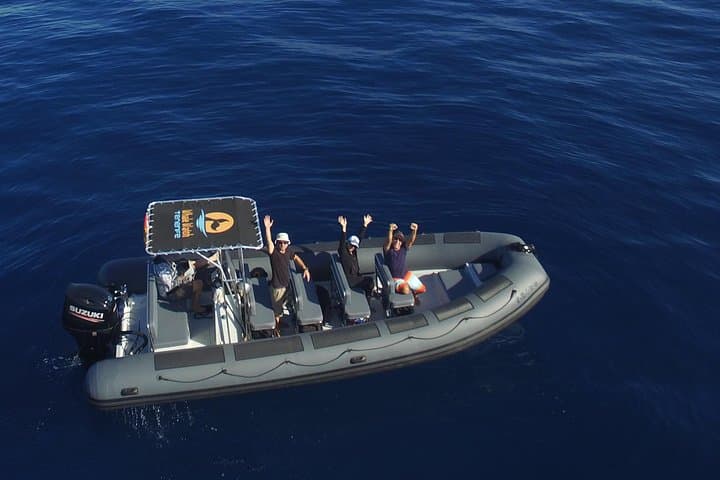 Private 2-Hour Whale Watching Tour from Costa Adeje, Tenerife photo 3