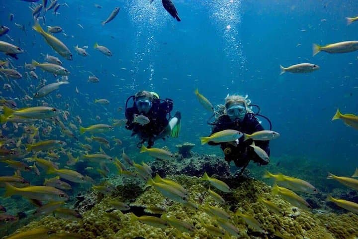 Try Scuba Diving from Phuket: Introductory Ocean Dives on M/V Matcha nu photo 3