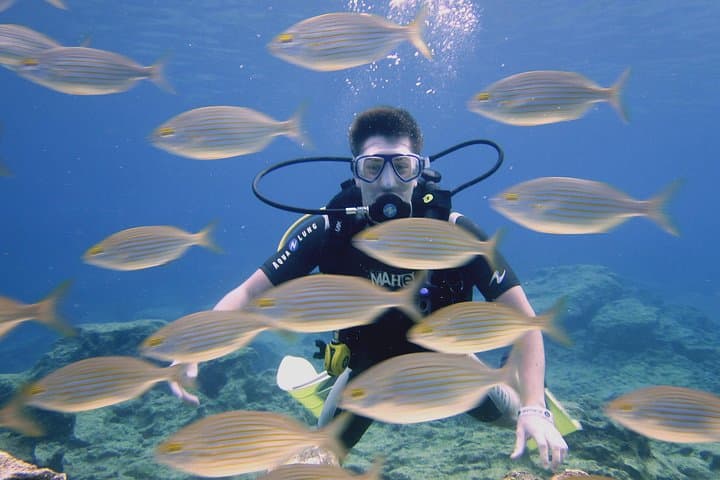 Protaras Guided Dives at Cape Greko — Green Bay, Caves & Turtles photo 2
