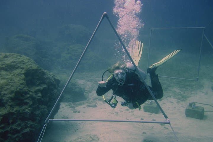 Protaras Guided Dives at Cape Greko — Green Bay, Caves & Turtles photo 4