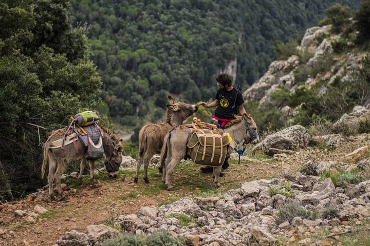Donkey Treks in Sardinia: Transhumance Trails from Jerzu to Perda-e-Liana photo 3