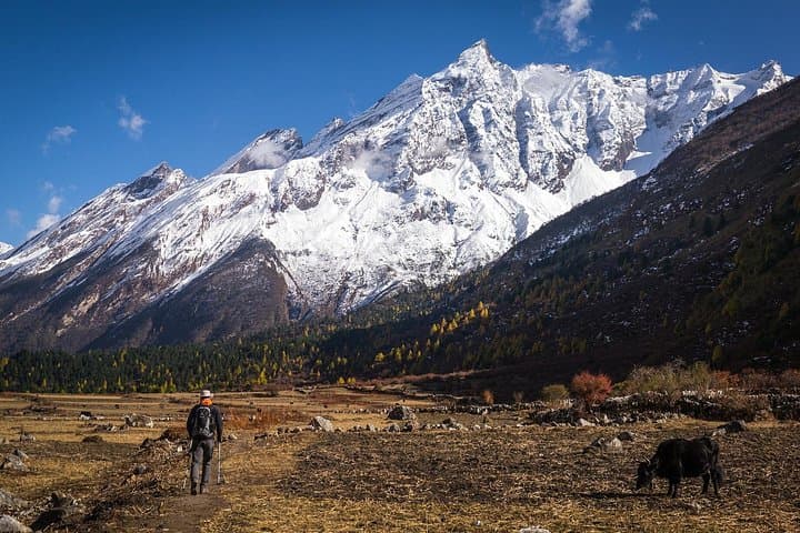 Manaslu Rupina La: 20-Day Homestay Trek Over Rupina La Pass