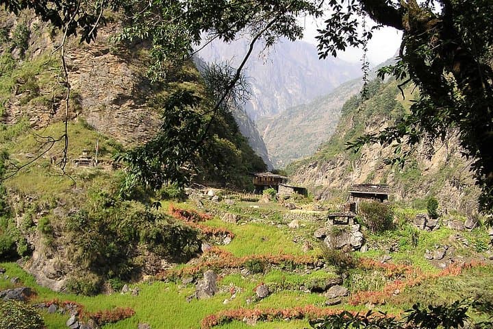 Manaslu Rupina La: 20-Day Homestay Trek Over Rupina La Pass photo 3