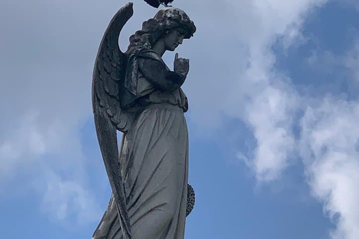 Private New Orleans History Tour with a 7th-Generation Local Guide photo 4