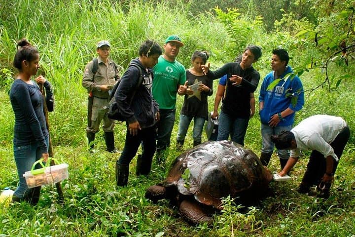 5-Day Galapagos & Los Tuneles Tour — Isabela and Santa Cruz Adventure photo 3