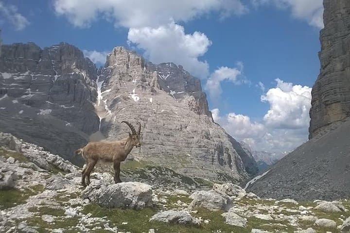 Dolomites Hiking Tour from Venice: Guided Day Hike to Alpine Panoramas photo 4