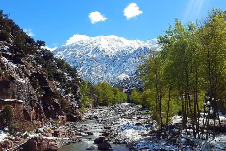 Ourika Valley Waterfalls & Berber Villages: Private Day Trip from Marrakech photo 3
