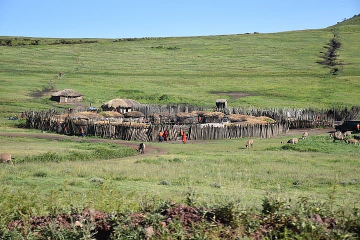 2-Day Tanzania Safari: Tarangire & Ngorongoro Crater Adventure photo 4
