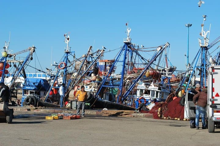 Essaouira Day Trip from Marrakech — Argan Trees, Medina & Atlantic Harbor photo 2