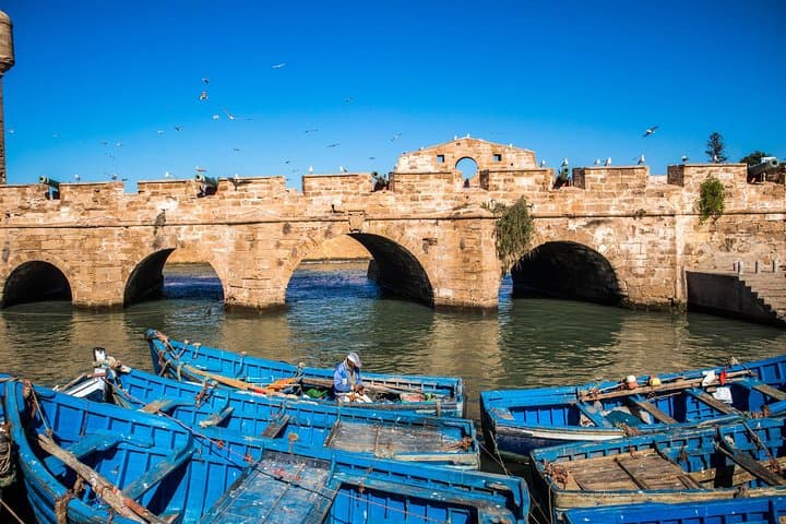 Day Trip from Marrakech to Essaouira — Argan Forests, Medina & Atlantic Coast photo 6