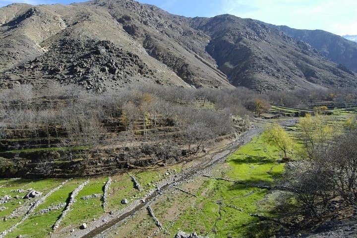 Ourika Valley & Setti Fatma Waterfalls Day Trip from Marrakech photo 5