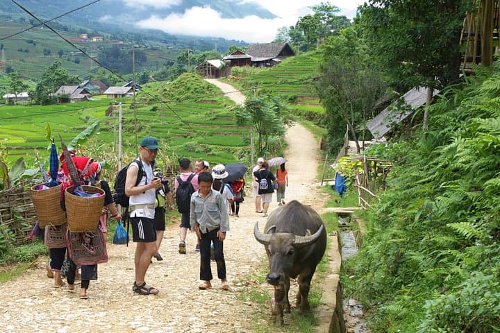 5-Day Northern Vietnam Combo: Lan Ha Bay, Sapa & Ninh Binh Highlights photo 6