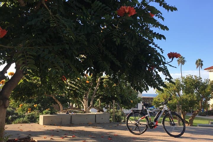 Full-Day Performance eBike Rental in La Jolla — Coastline, Cliffs & Torrey Pines photo 3
