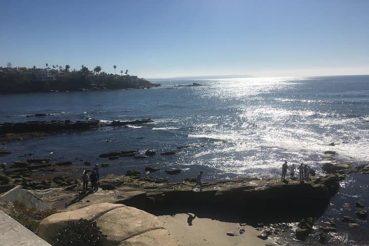 Full-Day Performance eBike Rental in La Jolla — Coastline, Cliffs & Torrey Pines photo 4