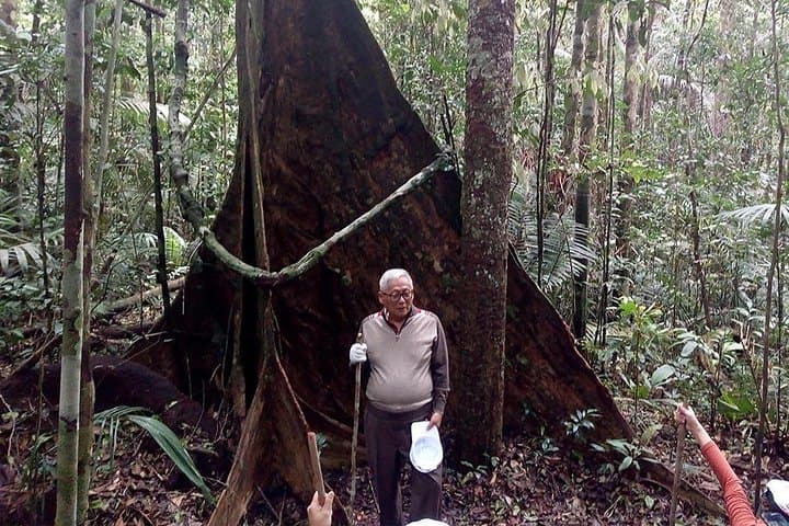 Half-Day Jaguar Jungle Survival: Amazon Rainforest Experience from Manaus