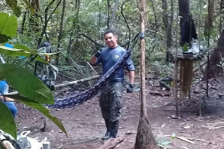Half-Day Jaguar Jungle Survival: Amazon Rainforest Experience from Manaus photo 2