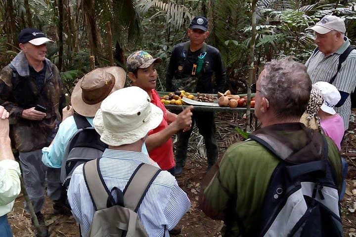 Half-Day Jaguar Jungle Survival: Amazon Rainforest Experience from Manaus photo 5