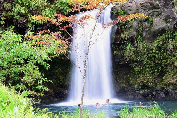 Luxury Road to Hana and Ka'eleku Cavern: Waterfalls, Black Sand, and Lava Light photo 4