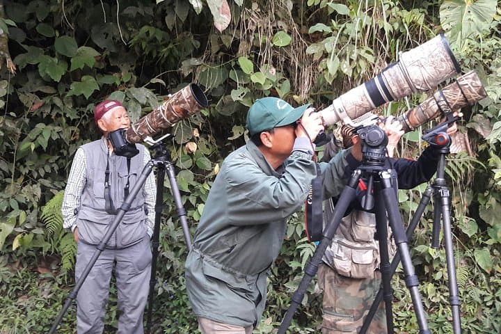 Mindo Cloud-Forest Birding with an Expert Guide — Sword-billed Hummingbird & Antpitta Viewing