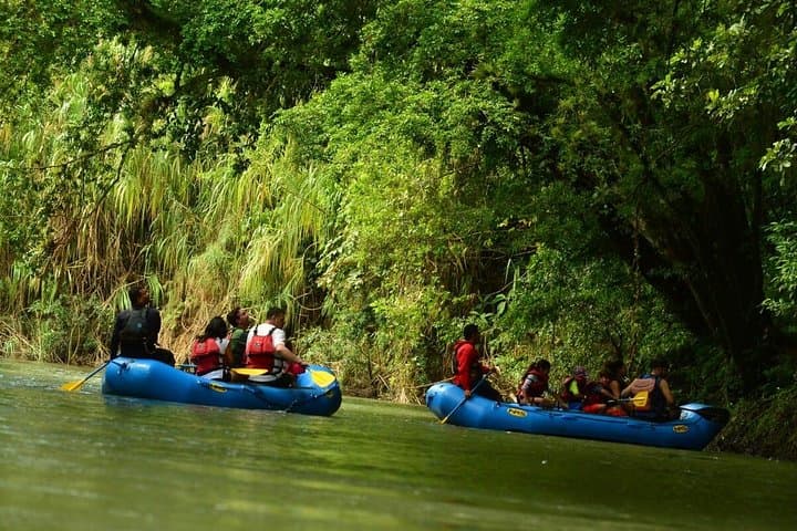 Sarapiquí River Safari Float: Half-Day Jungle Wildlife Cruise photo 2