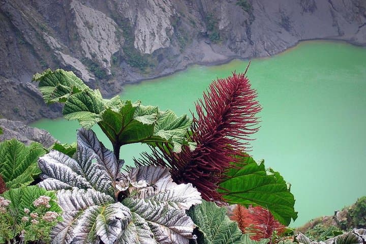 Irazu Volcano, Orosi Valley & Lankester Botanical Garden: Full-Day Tour from San José photo 2