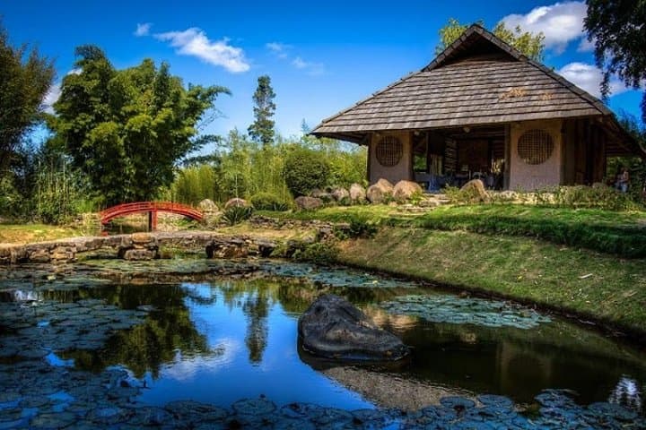 Irazu Volcano, Orosi Valley & Lankester Botanical Garden: Full-Day Tour from San José photo 6