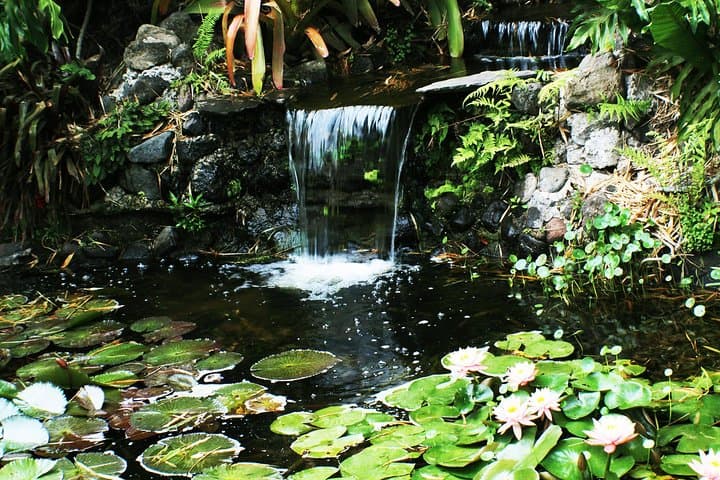 Orosi Valley & Lankester Gardens Day Trip from San José photo 6