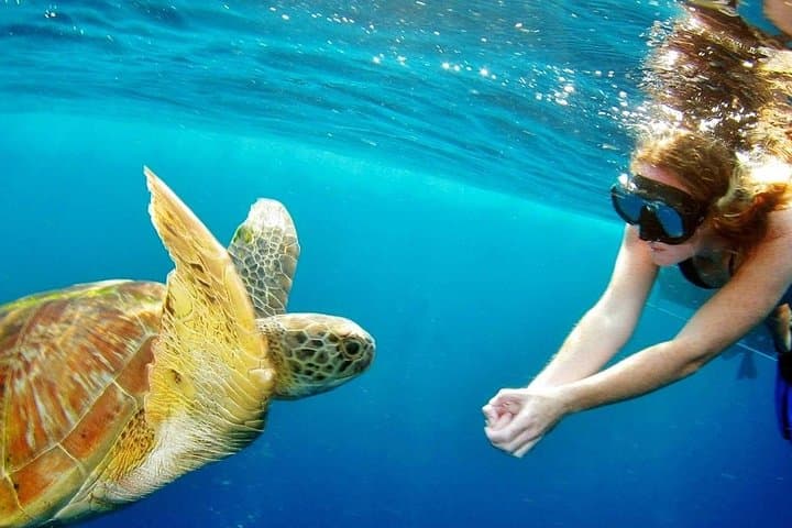 Blue Lagoon Bali Snorkeling: Padangbai’s Best Reefs with Local Guide photo 6